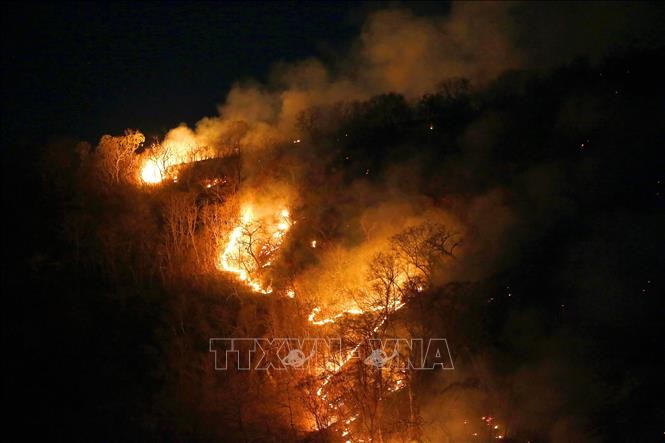Sekjen PBB menyatakan kecemasan mendalam tentang kebakaran hutan Amazon - ảnh 1