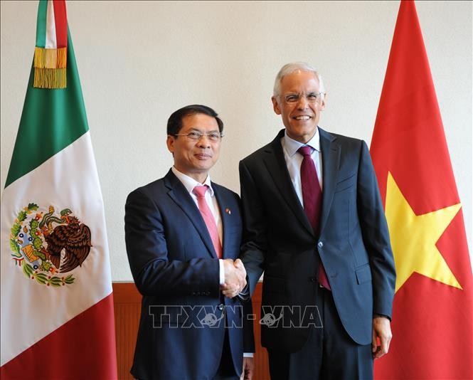 Vietnam dan Meksiko melaksanakan konsultasi politik ke-5 - ảnh 1