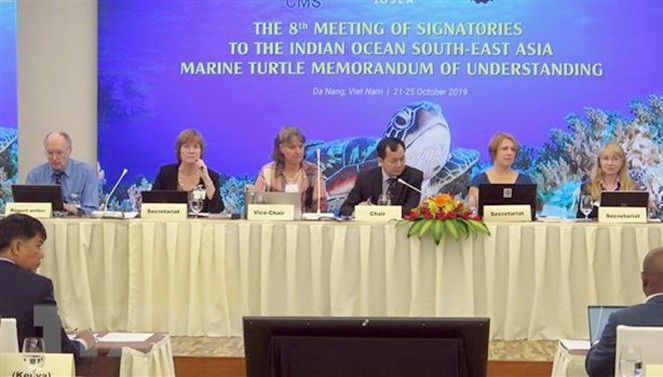 Memperkuat konservasi kura-kura laut di kawasan  Samudera Hindia dan Asia Tenggara - ảnh 1