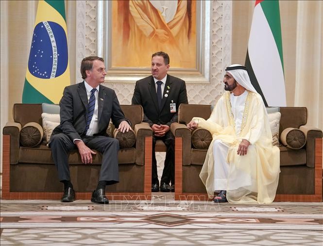 Brazil mendorong hubungan dengan negara-negara Arab - ảnh 1