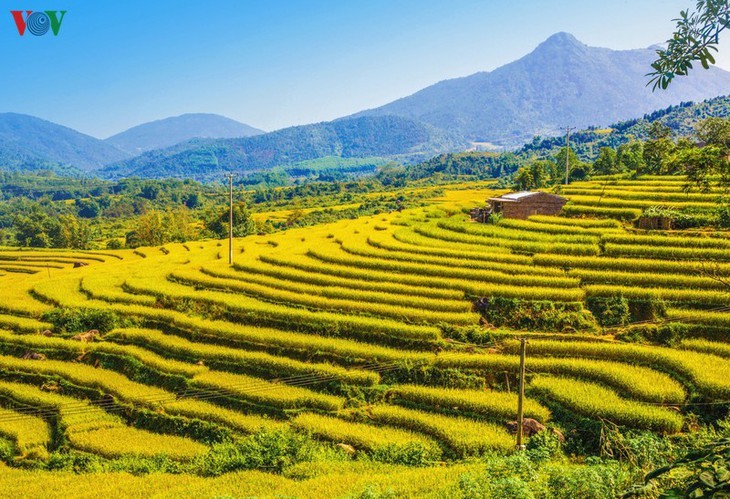 Daerah ketinggian Quang Ninh menyerap kedatangan  wisatawan  untuk menghayati pada Musim Gugur - ảnh 1