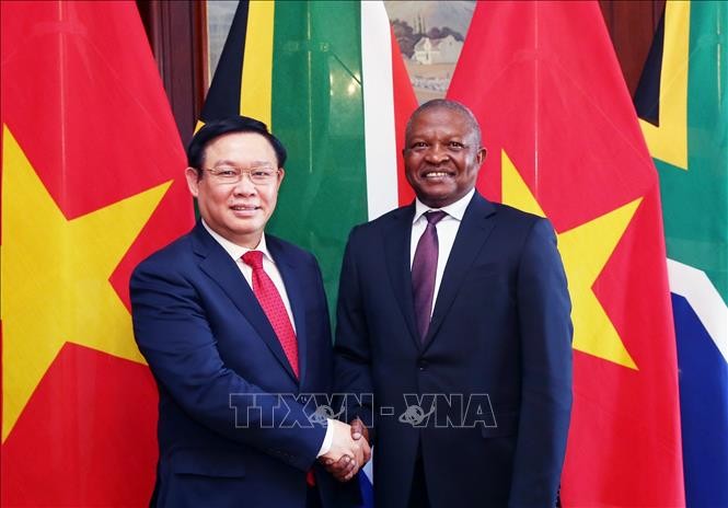 Deputi PM Vietnam, Vuong Dinh Hue melakukan kunjungan kerja di Republik Afrika Selatan - ảnh 1