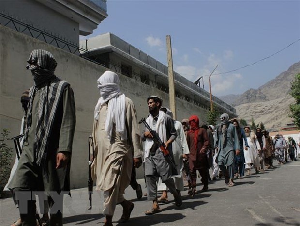Taliban setuju melakukan gencatan senjata untuk sementara di Afghanistan - ảnh 1