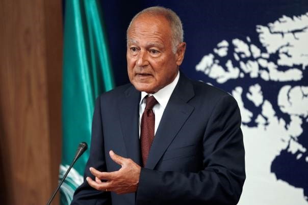 Liga  Arab menghargai kerjasama dengan Uni Afrika demi perdamaian dan kestabilan - ảnh 1