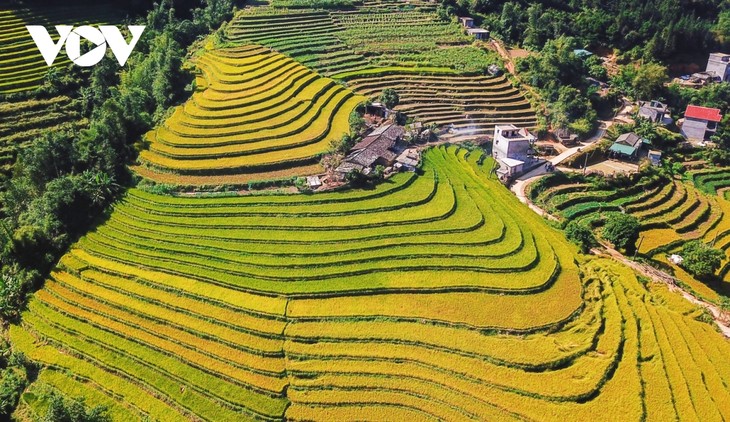 Provinsi Quang Ninh Melestarikan dan Mengembangkan Nilai-Nilai Pusaka Budaya bagi Pengembangan Pariwisata - ảnh 1