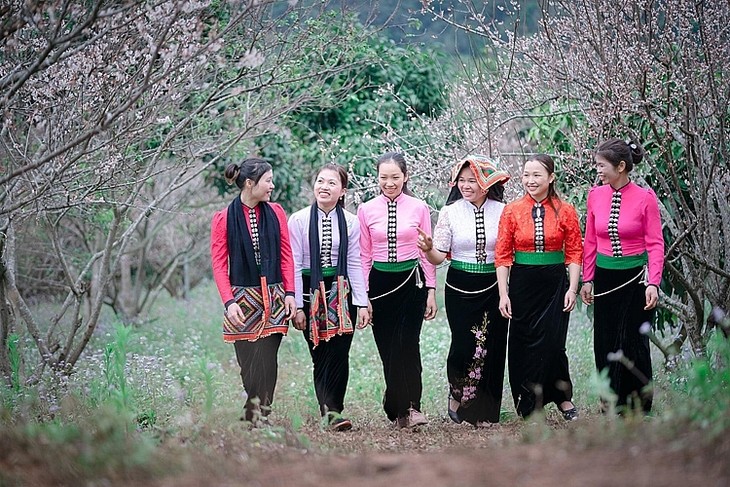 Zona Wisata Nasional Moc Chau – Provinsi Son La - ảnh 2