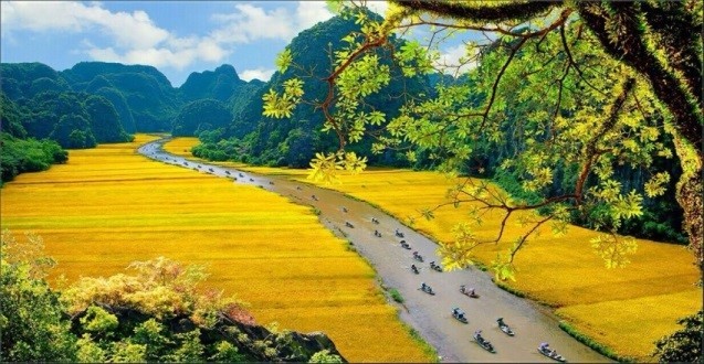 Destinasi-Destinasi yang menarik Para Wisman di Vietnam - ảnh 8