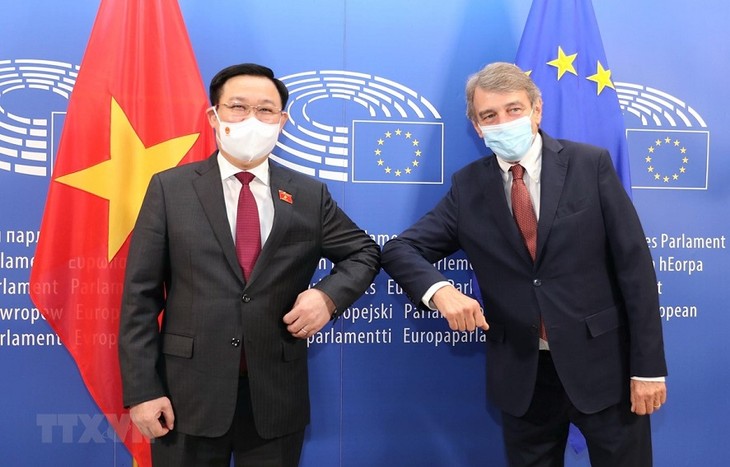 Kerja Sama Vietnam dengan Uni Eropa dan Parlemen Eropa Berhasil Laksanakan EVFTA - ảnh 2