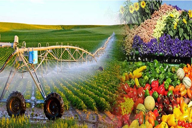 Strategi Pengembangan Pertanian dan Pedesaan  Berkesinambungan Tahap 2021-2030, Visi Sampai 2050 - ảnh 1