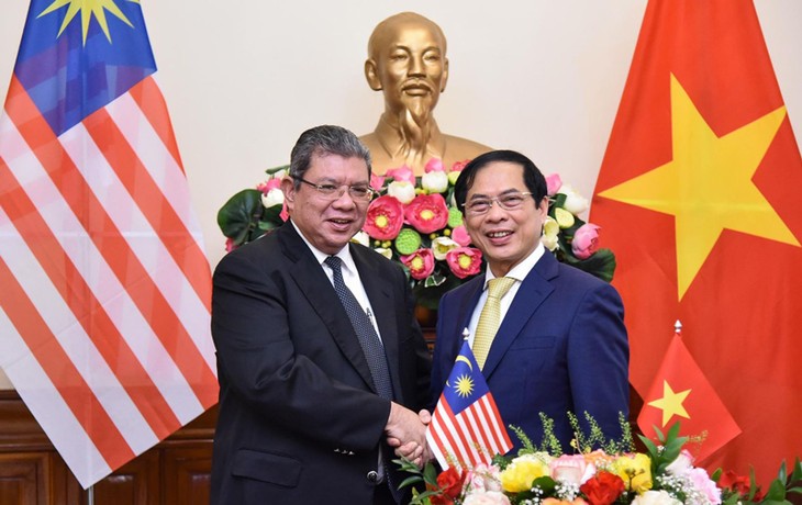Dorong Kerja Sama Bilateral Vietnam-Malaysia - ảnh 1