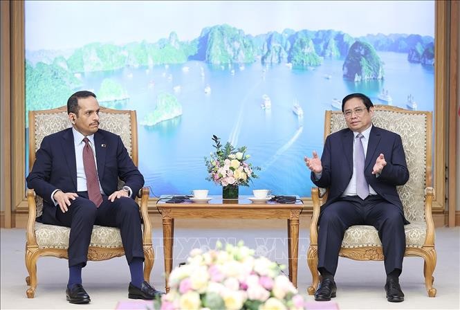Dorong Hubungan Vietnam-Qatar, Khususnya Di Bidang Ekonomi - ảnh 1