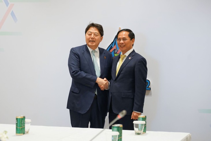 ​Vietnam Diskusikan  Langkah-Langkah Peningkatan Hubungan Kerja Sama Bilateral dengan Jepang dan AS - ảnh 1