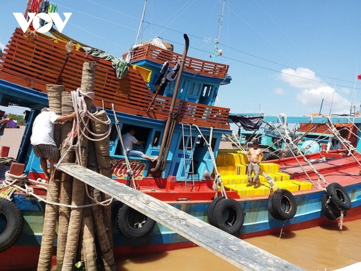 Vietnam Berupaya Menghapuskan Kartu Kuning Komisi Eropa, Bertekad Mencegah Penangkapan Ikan Ilegal - ảnh 1