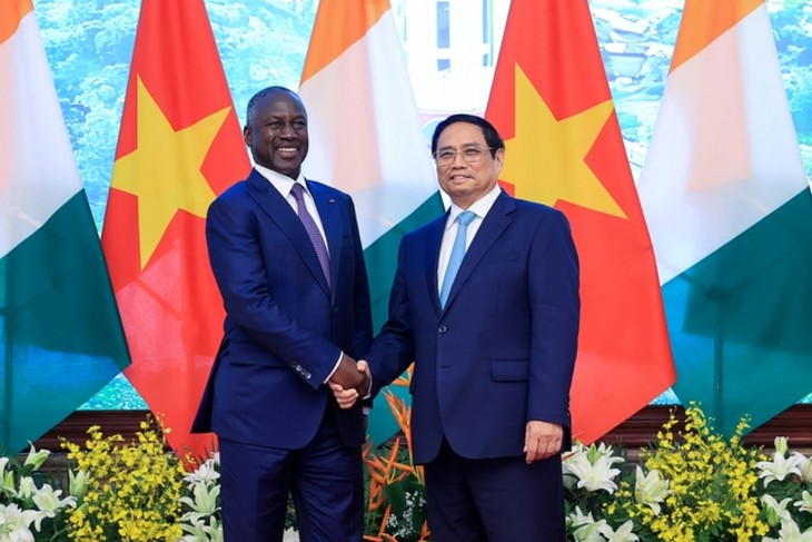 Vietnam Selalu Menghargai Pendorongan Hubungan Kerja Sama dan Persahabatan dengan Pantai Gading - ảnh 1