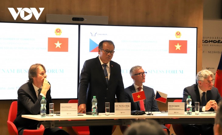 Vietnam Menjadi Terpenting bagi Republik Ceko di Asia  - ảnh 1