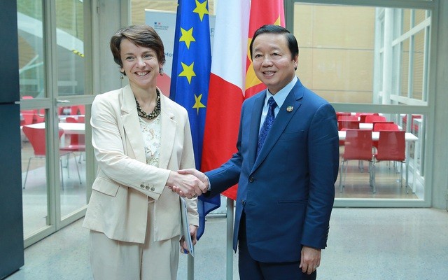 Deputi PM Vietnam, Tran Hong Ha Lakukan Temu Kerja dengan Wakil Direktur Badan Pembangunan Prancis - ảnh 1