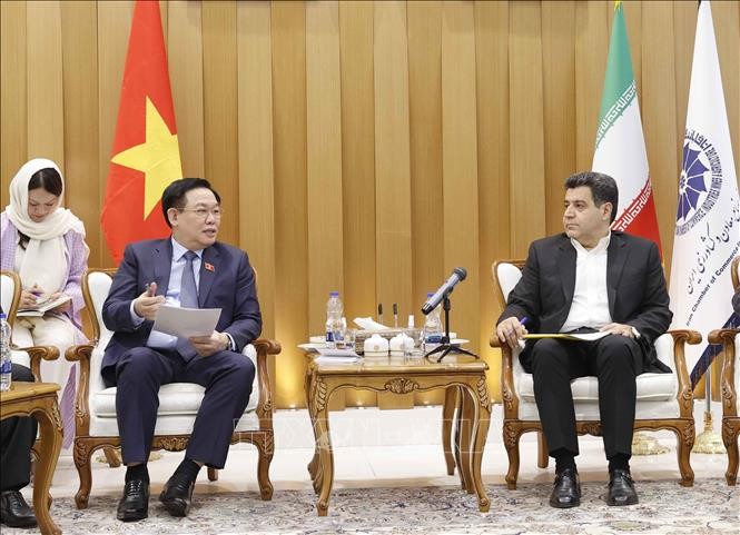 Ketua MN Vietnam, Vuong Dinh Hue Terima Ketua Kamar Perdagangan, Industri, Pertambangan, dan Pertanian Iran - ảnh 1