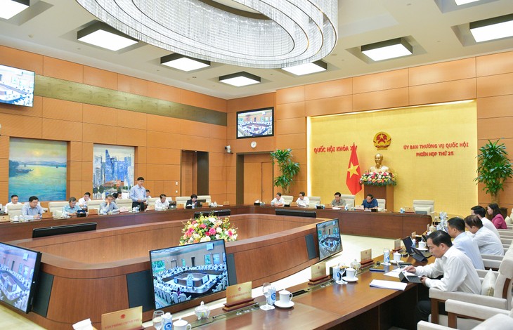 Komite Tetap MN Vietnam Memberikan Pendapat terhadap RUU mengenai Pertanahan (Amandemen) - ảnh 1