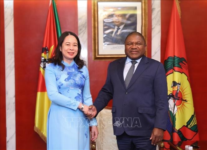 Vietnam-Mozambik Mendorong Kerja Sama di Banyak Bidang	 - ảnh 1