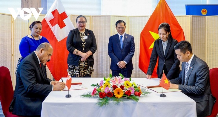 Vietnam dan Kerajaan Tonga Menggalang Hubungan Diplomatik - ảnh 1