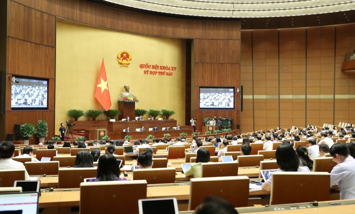 MN Vietnam, pada Tgl 05 November, Mulai Melakukan Interpelasi terhadap Para Anggota Pemerintah - ảnh 1