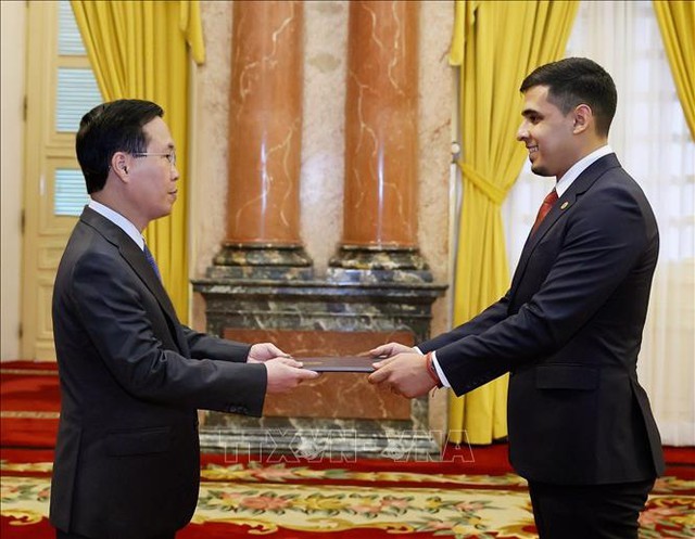Presiden Vietnam, Vo Van Thuong Terima Dubes Venezuela dan Dubes Laos yang Menyampaikan Surat Kenegaraan - ảnh 1