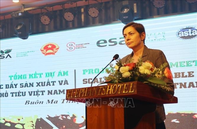 Mendorong Produksi dan Perdagangan Lada Vietnam secara Berkesinambungan - ảnh 1