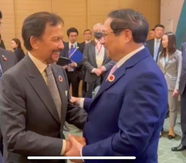 PM Vietnam Pham Minh Chinh Lakukan Kontak dengan Para Pemimpin ASEAN - ảnh 4