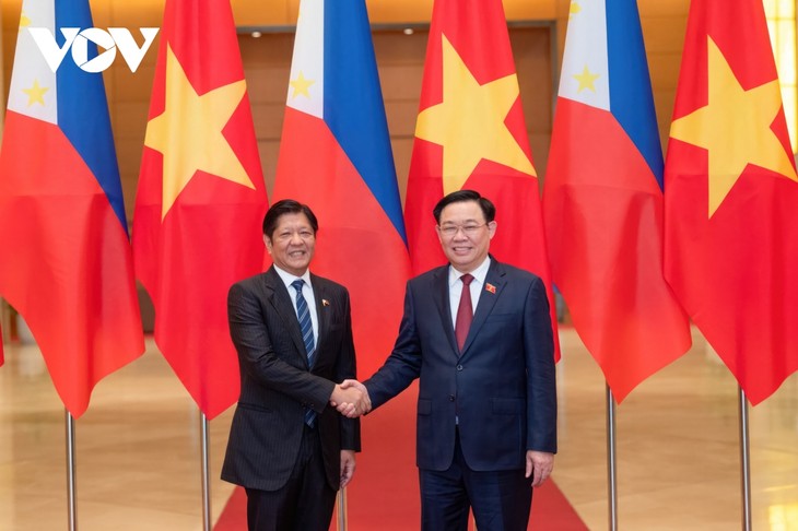 Ketua MN  Vietnam, Vuong Dinh Hue Beraudiensi kepada Presiden Filipina - ảnh 1