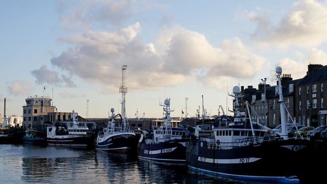 Brexit : le Royaume-Uni dénonce la convention de Londres sur la pêche - ảnh 1