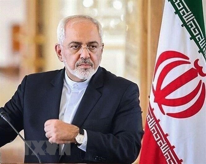 Le ministre iranien des Affaires étrangères rencontre Jean-Yves Le Drian - ảnh 1