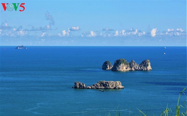 Cat Hai-l’île de la perle accueille plus de 2 millions de touristes - ảnh 10