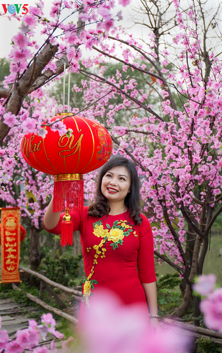 Les Vietnamiennes s’habillent en ao dài pour la fête du Têt - ảnh 6