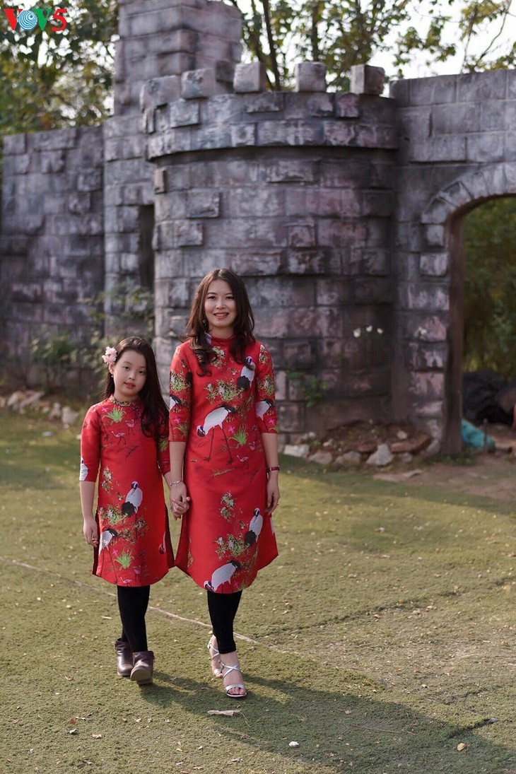 Les Vietnamiennes s’habillent en ao dài pour la fête du Têt - ảnh 15