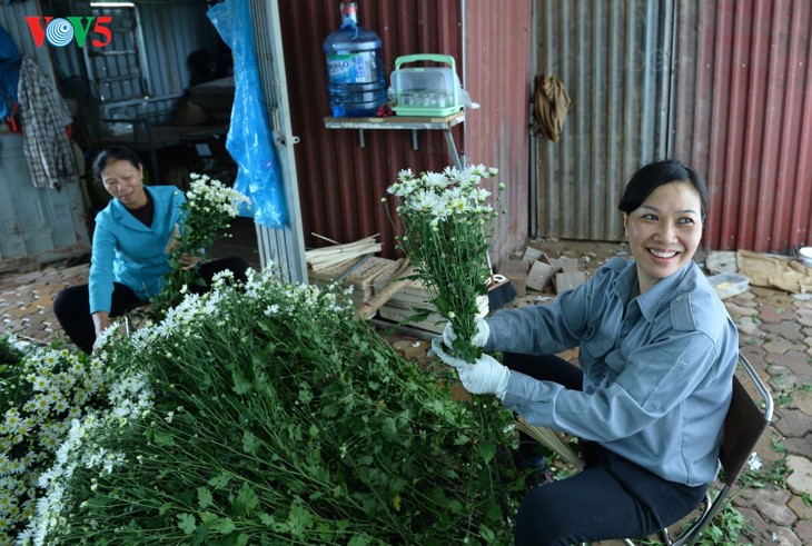 Hanoï accueille la saison des fleurs d’échinacée blanche - ảnh 8