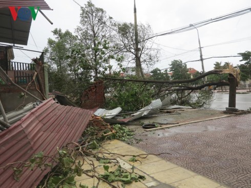 Vietnam strives to minimize damage from Talas storm - ảnh 1