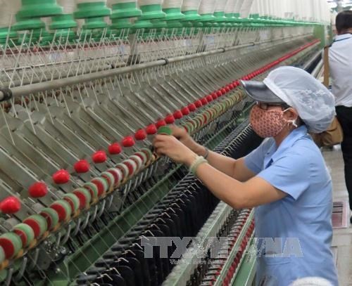 India firms seek to boost textile machinery exports to Vietnam - ảnh 1