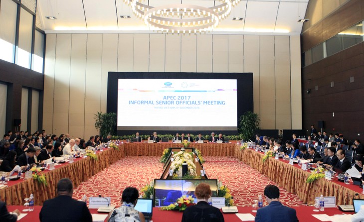  APEC CEO Summit 2017 offers greater cooperation, development opportunities - ảnh 1