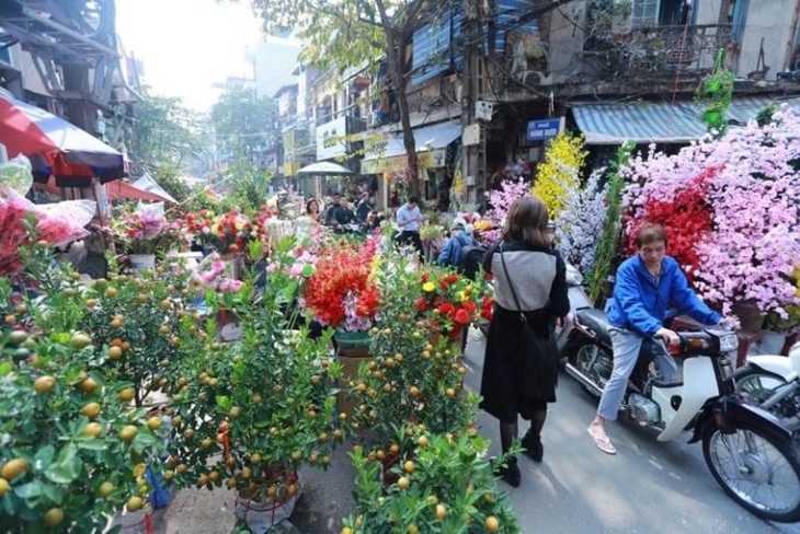 Hanoi’s flower markets vibrant ahead of Tet - ảnh 2