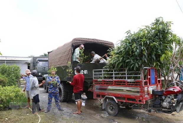 Navy Region 4 receives 15,000 seedlings to send to Truong Sa - ảnh 1