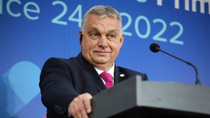 Hungary to ratify NATO bids of Sweden, Finland in 2023 - ảnh 1