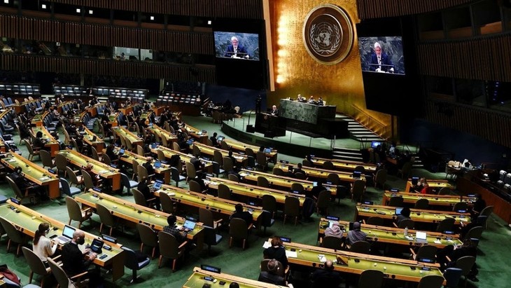 UN General Assembly discusses veto power at Security Council - ảnh 1