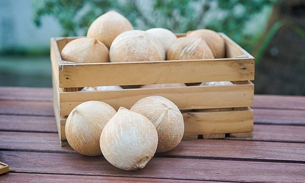 Vietnam gets green light to export fresh husked coconut to US - ảnh 1