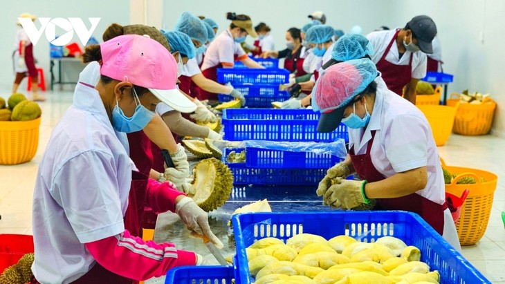 Vietnam-China trade turnover exceeds 100 billion USD over eight-month period - ảnh 1