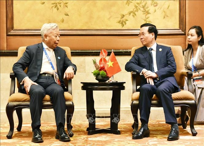 President Thuong receives Asian Infrastructure Investment Bank leader - ảnh 1
