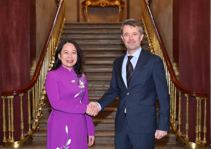 Vietnam, Denmark promote cooperation in economics, environment, climate change, energy, and green development  - ảnh 1