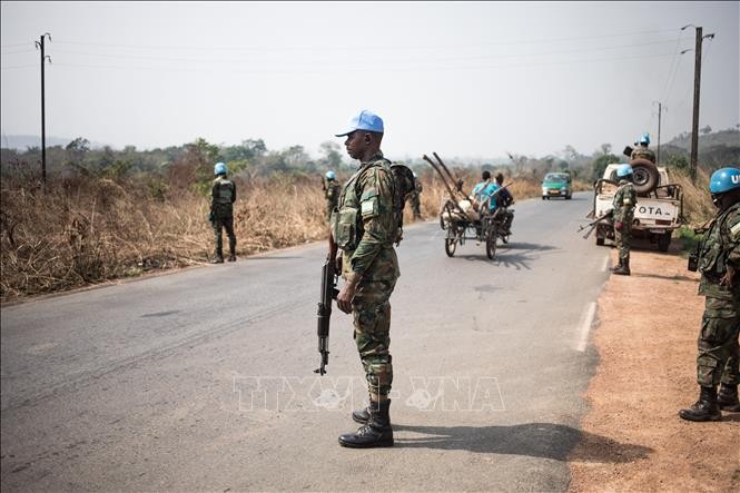 Security Council condemns deadly attack on UN mission in Central African Republic - ảnh 1