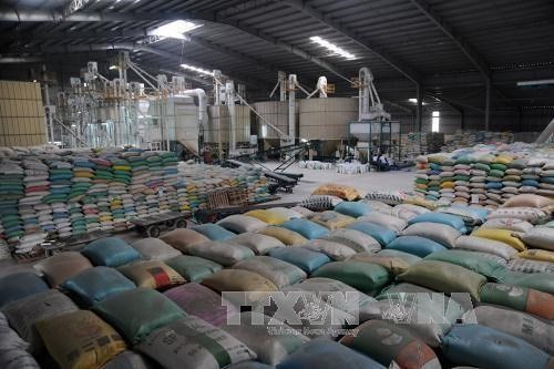 Pemerintah Republik Korea memberikan 10.000 ton beras kepada provinsi – provinsi VNTengah dan Daerah Tay Nguyen - ảnh 1
