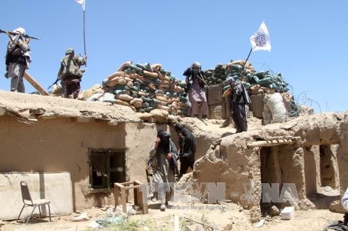Taliban menyatakan tidak memperpanjang printah gencatan senjata - ảnh 1