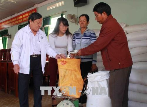 Daerah etnis minoritas  dan daerah pegunungan di kawasan Vietnam Tengah dan Tay Nguyen terus mendapat perhatikan  negara melakukan investasi yang layak - ảnh 1